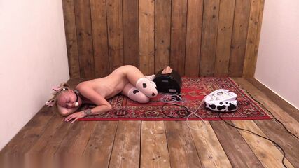 Pumped Tits Sybian Explosion